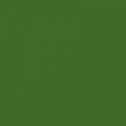 BS381-225 Light Brunswick Green Aerosol Paint